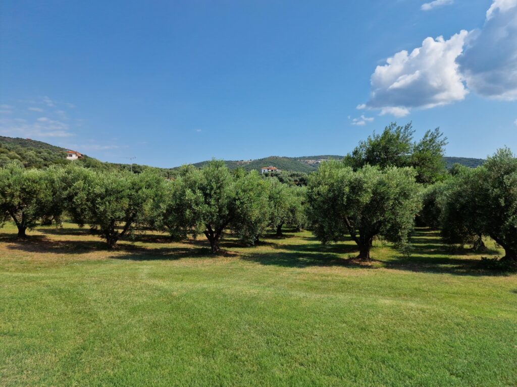 Book Halkidiki Apartments